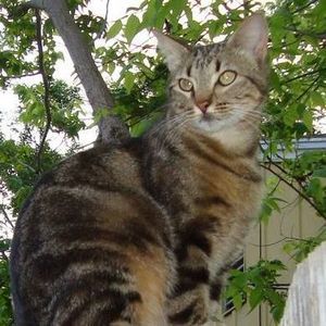 Meet your Posher, Melody